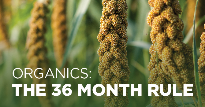The most important question for row crop farmers to ask themselves this time of year who are considering transitioning to organic farming practices.
