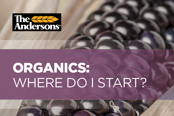 Did you know The Andersons now offers organic transition consulting services? We are ready to help you successfully transition to organic agriculture.